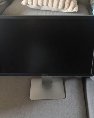Dell da 22 pollici (modello P2214HB)