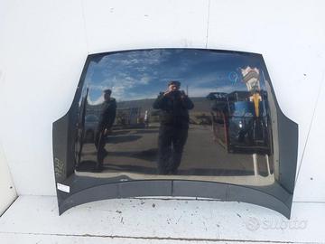 51701140 COFANO ANTERIORE FIAT PUNTO EVO (199) 1.3