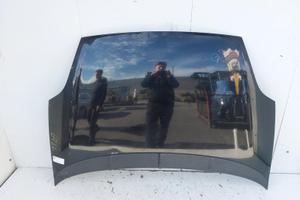 51701140 COFANO ANTERIORE FIAT PUNTO EVO (199) 1.3