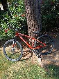 Bici Mtb