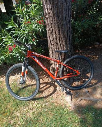 Bici Mtb