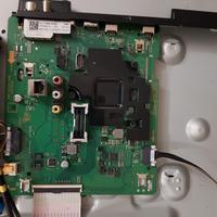 samsung qe50q60tauxzt scheda madre