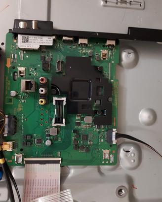 samsung qe50q60tauxzt scheda madre