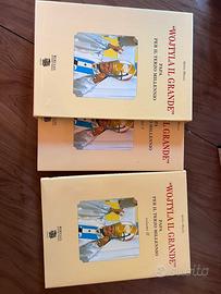 Libro del Papa Wojtyla il Grande