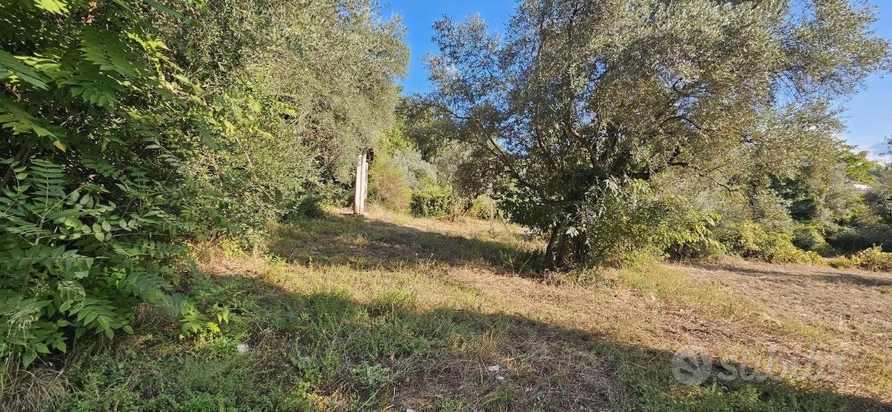 Casale e terreno a taizzano no agenzia - Vista 4