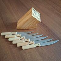 Ceppo 6 coltelli inox