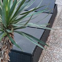 LETTINO  RATTAN VERO A DOPPIA ALZATA GRANDE