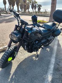 Benelli Leoncino 500  (2019) - Roma