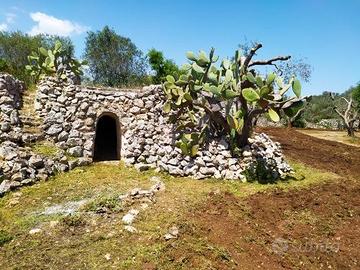 TRULLO CON ULIVETO