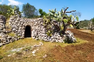 TRULLO CON ULIVETO