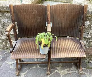 Sedie panche, poltroncine, cinema, piegabili vinta