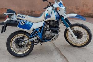 Suzuki dr 600 djebel 