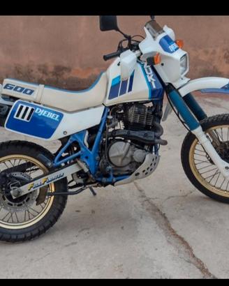 Suzuki dr 600 djebel 