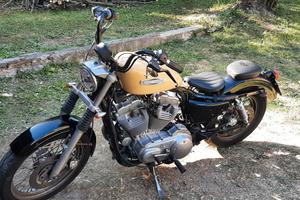 Sportster 883 carburatore