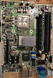 scheda madre HP Compaq 8000 Elite SFF