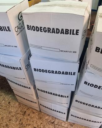 sacchetti biodegradabili  50x60 cartone da 1200 pz