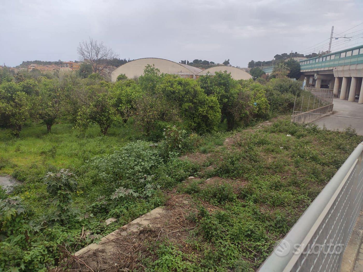 Terreno Agricolo Terme Vigliatore - Vista 2