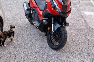 Honda ADV 350