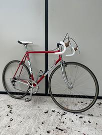 Colnago nuovo mexico