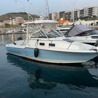 Barca bayliner trophy