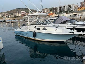 Barca bayliner trophy