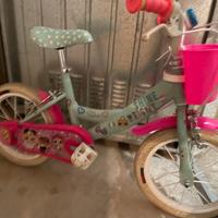 Bicicletta