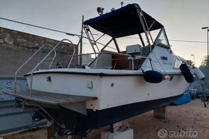 Chris craft express 25