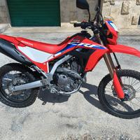 Hm crf 300 - 2022