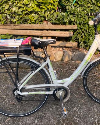 Bici elettrica Lombardo