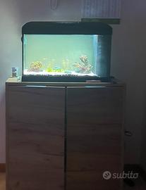 Acquario lt 54
