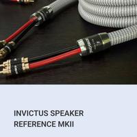 Ricable Invictus Reference - 2.34m Custom