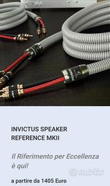 Ricable Invictus Reference - 2.34m Custom