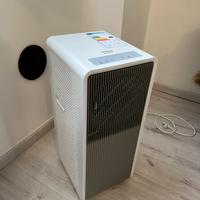 Condizionatore portatile deumidificatore pinguino