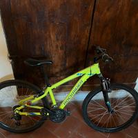 bicicletta rockrider