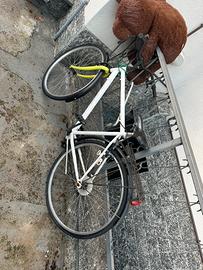 Bicicletta da uomo