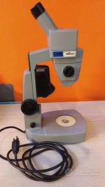 Microscopio binoculare Reichert - Model 41