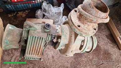 Pompa irrigazione caprari 1 : 6,77