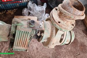 Pompa irrigazione caprari 1 : 6,77