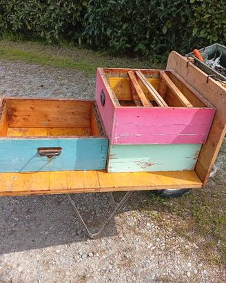 CARIOLA  robusta e capiente 