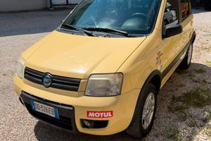 Fiat Panda 4x4 anno 2006
