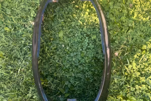 Ricambi per zip sp mk1