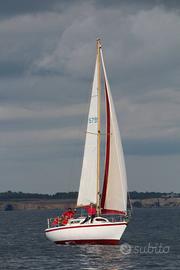 Passatore cantieri Sartini nr. 71