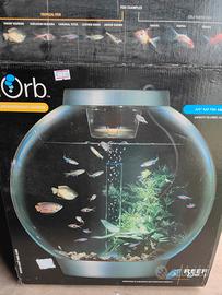 Acquario sferico 60 l, Biorb