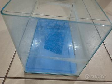 acquario 