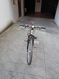 bicicletta