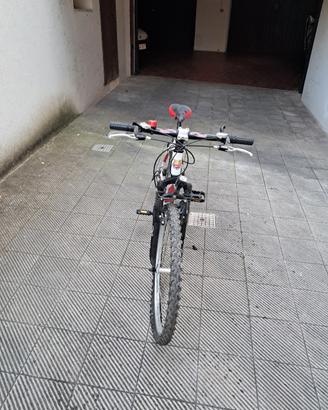 bicicletta