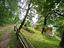 Immagine 10