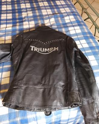 giubbotto moto pelle Triumph 