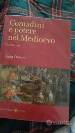 Contadini e potere nel Medioevo