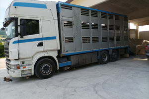 Camion trasporto animali vivi